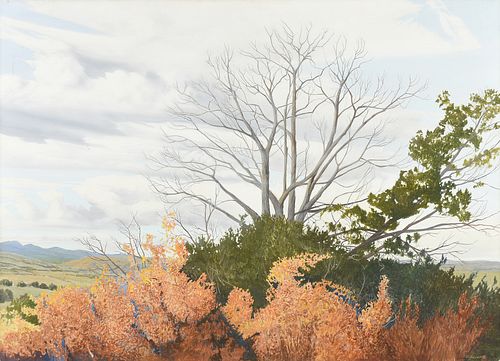 DENNIS CULVER (AMERICAN
