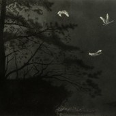 Dennis James Logsdon
(American