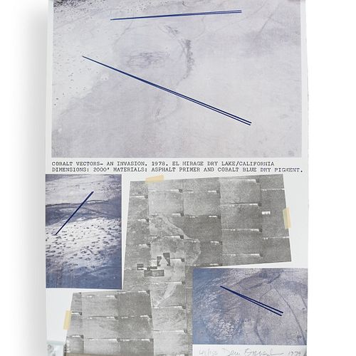 DENNIS OPPENHEIM