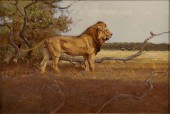 DENNIS P. ANDERSON (AMERICAN (