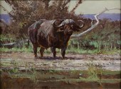 DENNIS P. ANDERSON (AMERICAN (
