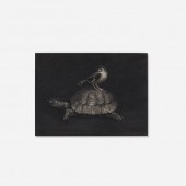 Derrick Guild b.1963. Tortoise