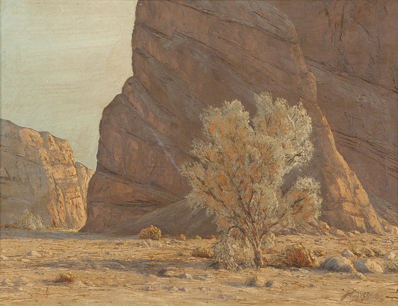 Desert canyon with smoke tree oil