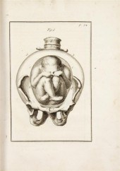 *DEVENTER HENDRIK VAN Observat