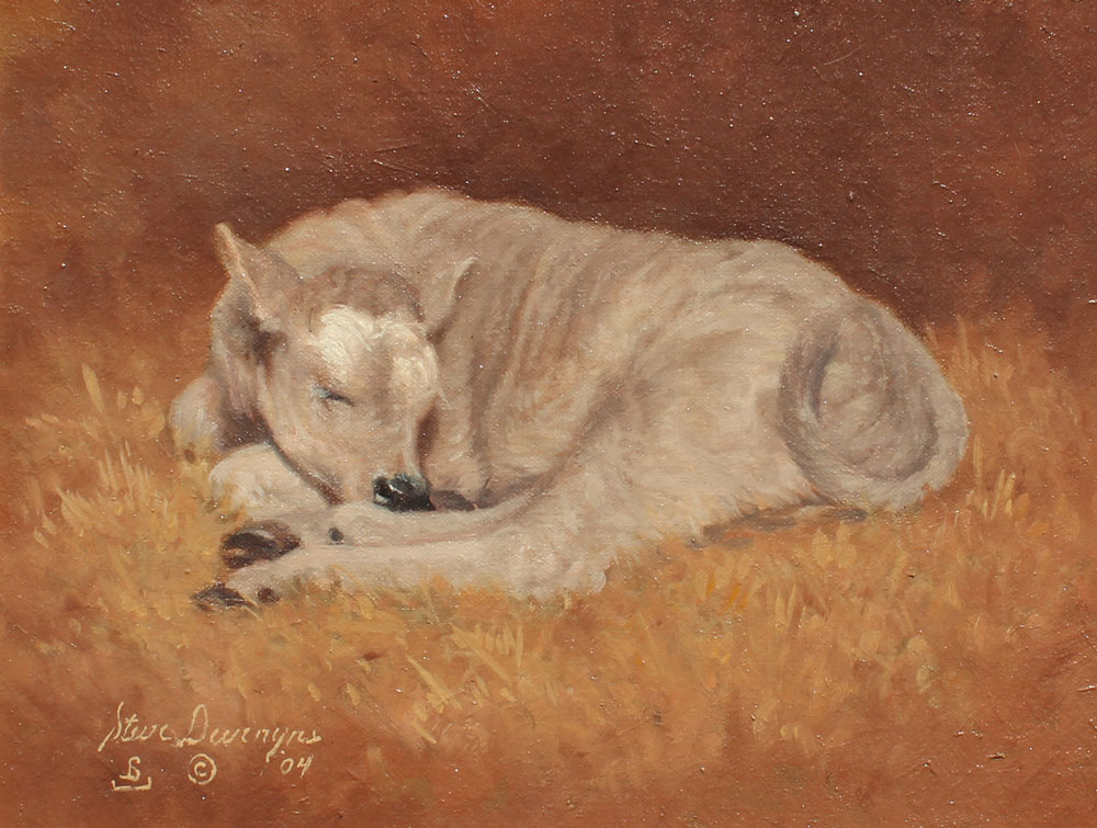 DEVENYNSE Steve (American 1953-):
