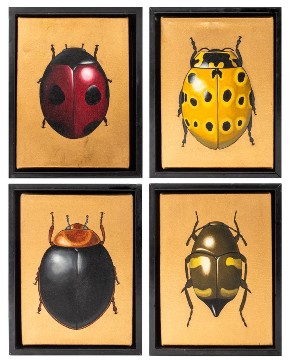 D.G.V. FOUR BEETLES & BUGS