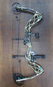 DIAMOND ARCHERY "CARBON CURE"