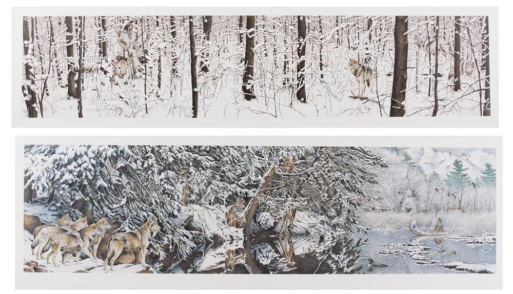DIANA CASEY (CONNECTICUT/MAINE,