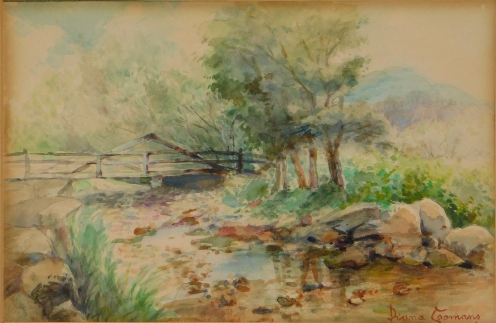 DIANA COOMANS IMPRESSIONIST