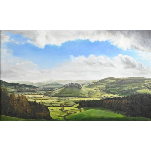Diana Taylor, 20th / 21st c -