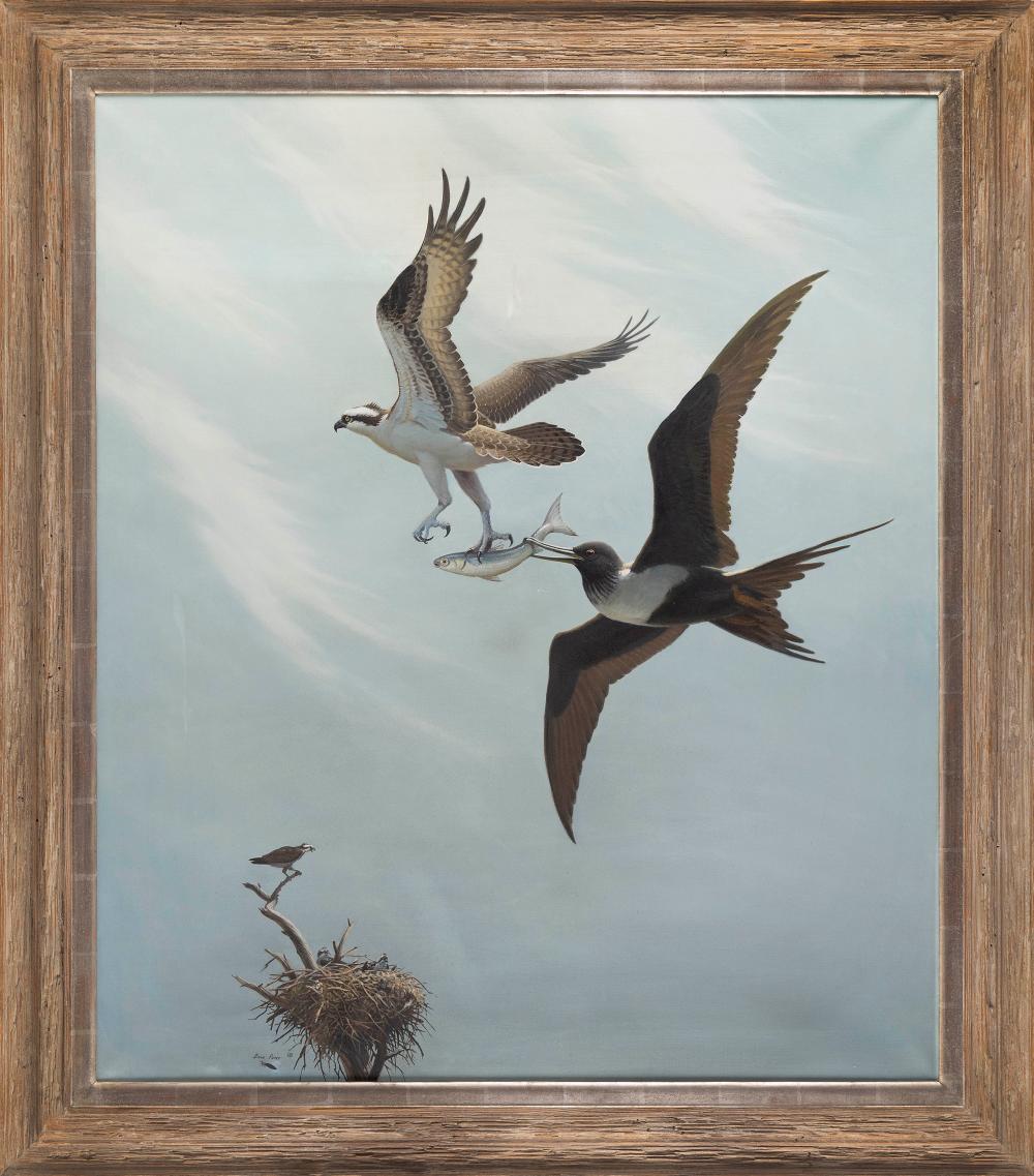 DIANE PIERCE (FLORIDA, B. 1939),