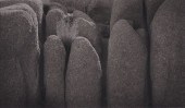 DICK ARENTZ (b. 1935): "JOSHUA