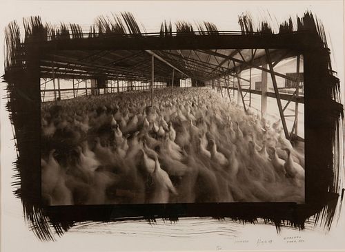 DICK ARENTZ / GRABBARD FARM