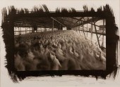 DICK ARENTZ / GRABBARD FARM (1