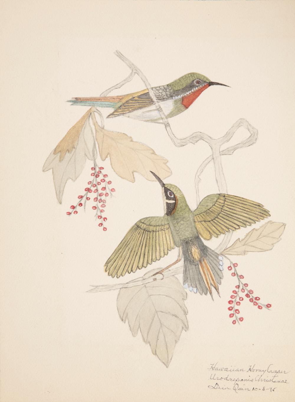 DICK D. QUIN (AMERICAN/MISSISSIPPI,