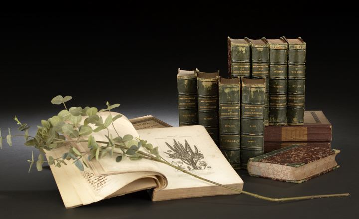 Dictionnaire des Sciences