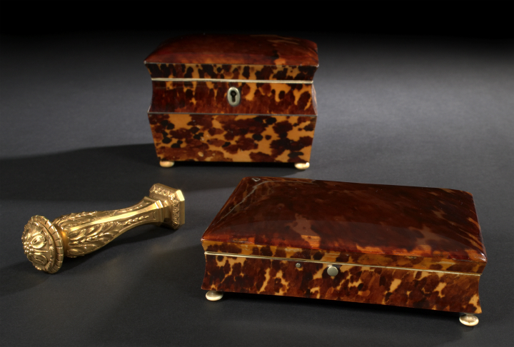 Diminutive English Tortoiseshell