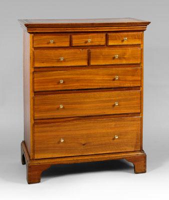 Diminutive North Carolina walnut
