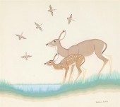 DINé [NAVAJO], HARRISON BEGAY