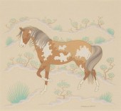 DINé [NAVAJO], HARRISON BEGAY