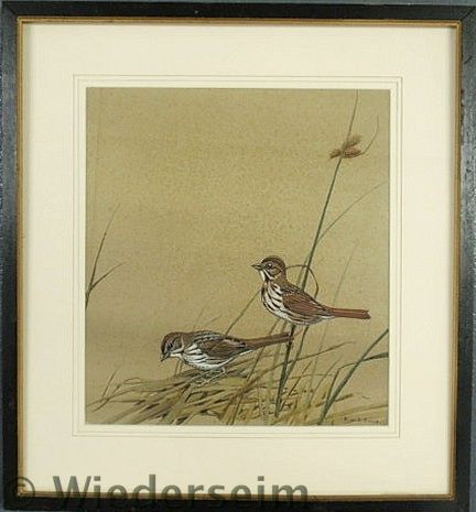 Dingle Edward von Siebold