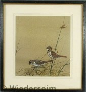 Dingle Edward von Siebold [Ame