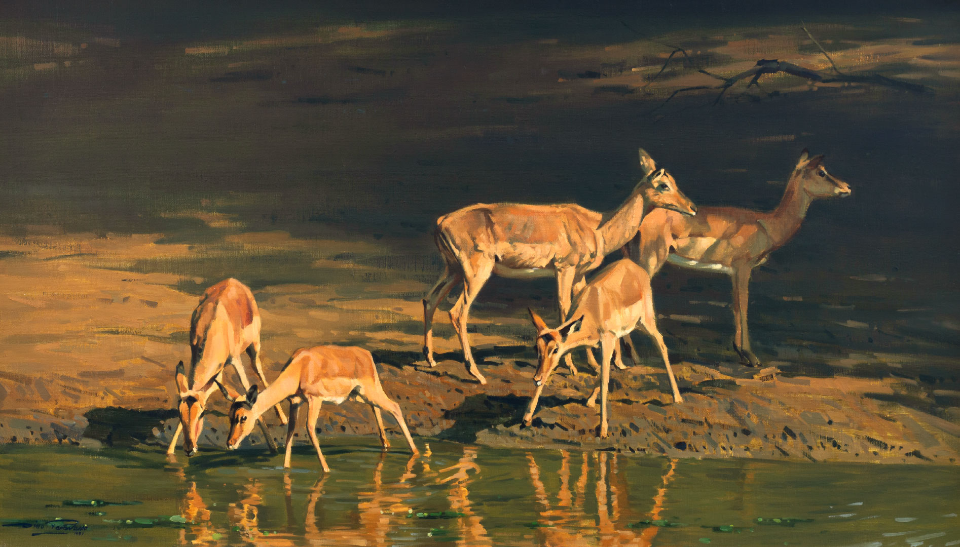 DINO PARAVANO (1935-), IMPALA IN