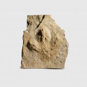 DINOSAUR FOOTPRINT
BURNISTON B