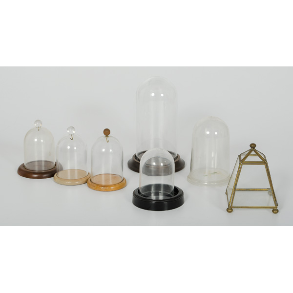 Display and Watch Cases an