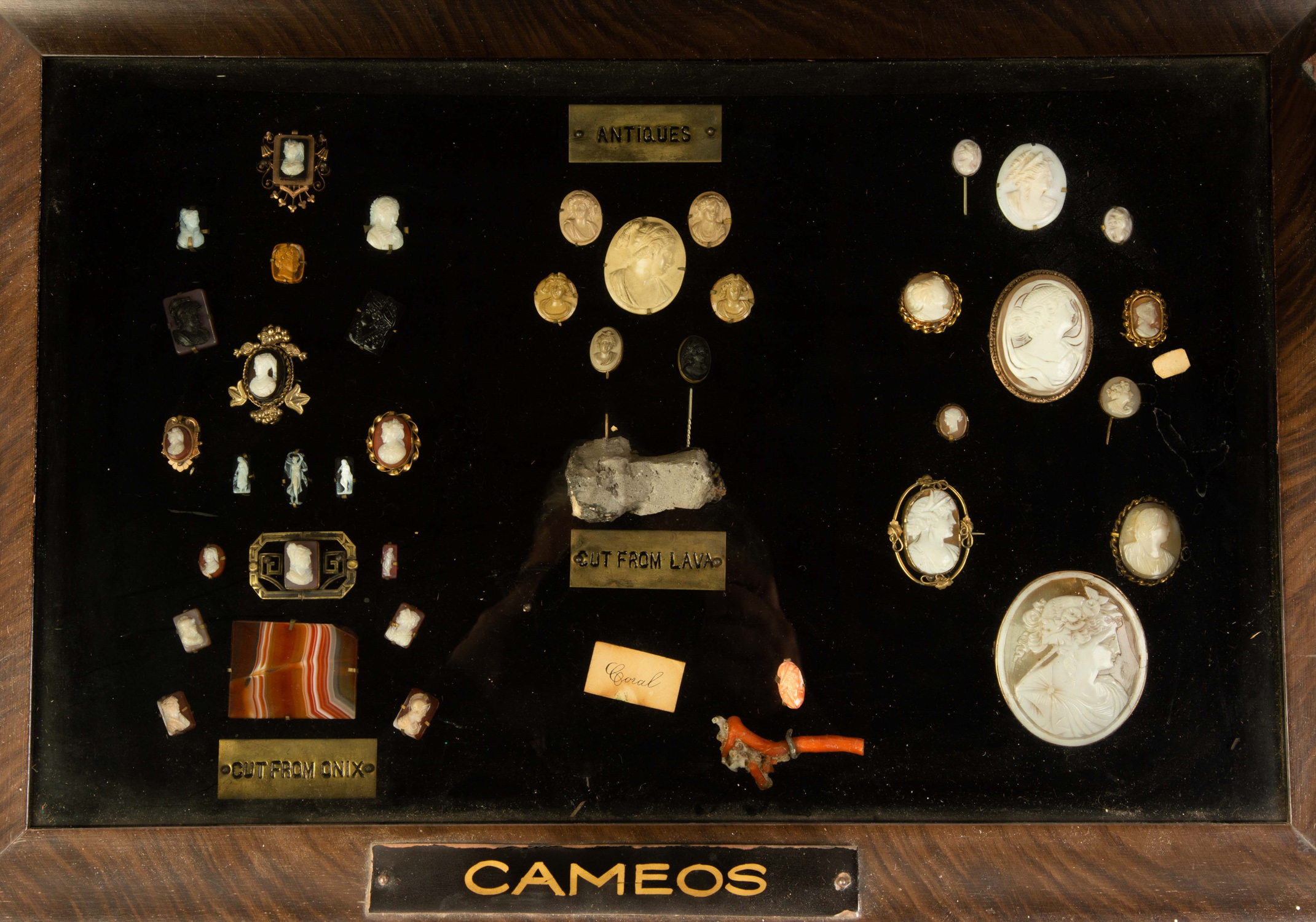 DISPLAY CASE WITH VARIOUS OBJECTS