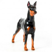 DOBERMAN PINSCHER HN2645 - ROY