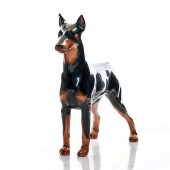 DOBERMAN PINSCHER HN2645 - ROY