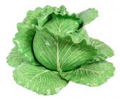 DODIE THAYER LETTUCE COVERED T