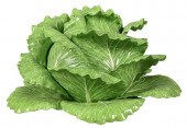 DODIE THAYER LETTUCE WARE TURE