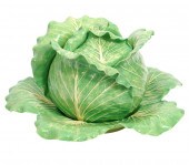 DODIE THAYER LETTUCE WARE TURE
