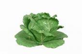 DODIE THAYER POTTERY LETTUCE W