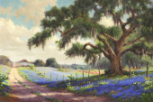 DOLLIE S. NABINGER (TX, 1905-1
