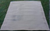 DOMESTIC BEIGE GROUND RUG ~14