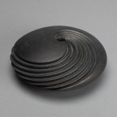 DOMINIQUE TOYA, BLACKWARE SWIR