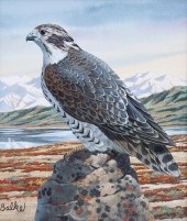 DON BALKE (B. 1933) "GYRFALCON