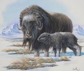 DON BALKE (B. 1933) "MUSK OX W
