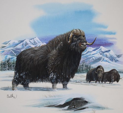 DON BALKE (B. 1933) "MUSK OX AND