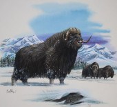 DON BALKE (B. 1933) "MUSK OX A
