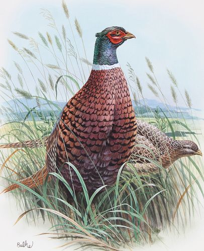 DON BALKE (B. 1933) "PHEASANT