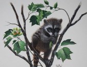 DON BALKE (B. 1933) "RACCOON A