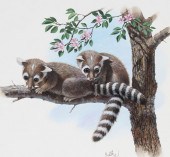 DON BALKE (B. 1933) "RINGTAIL