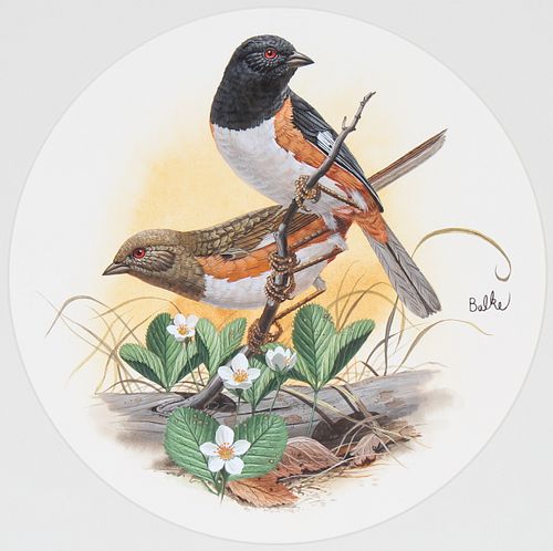 DON BALKE (B. 1933) "RUFOUS-SIDED