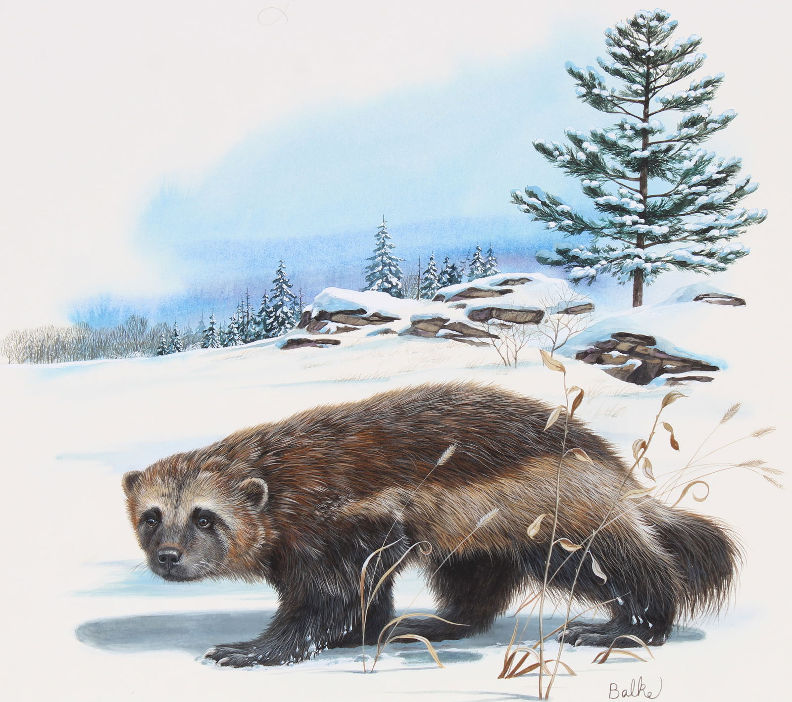 DON BALKE (B. 1933) "WOLVERINE