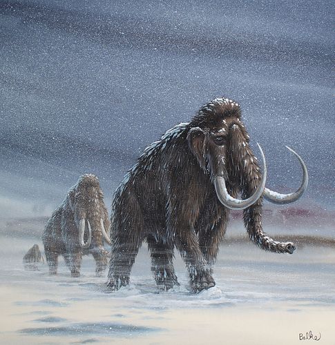DON BALKE (B. 1933) "WOOLLY