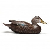 DON BRIDDELL (MD), BLACK DUCK
